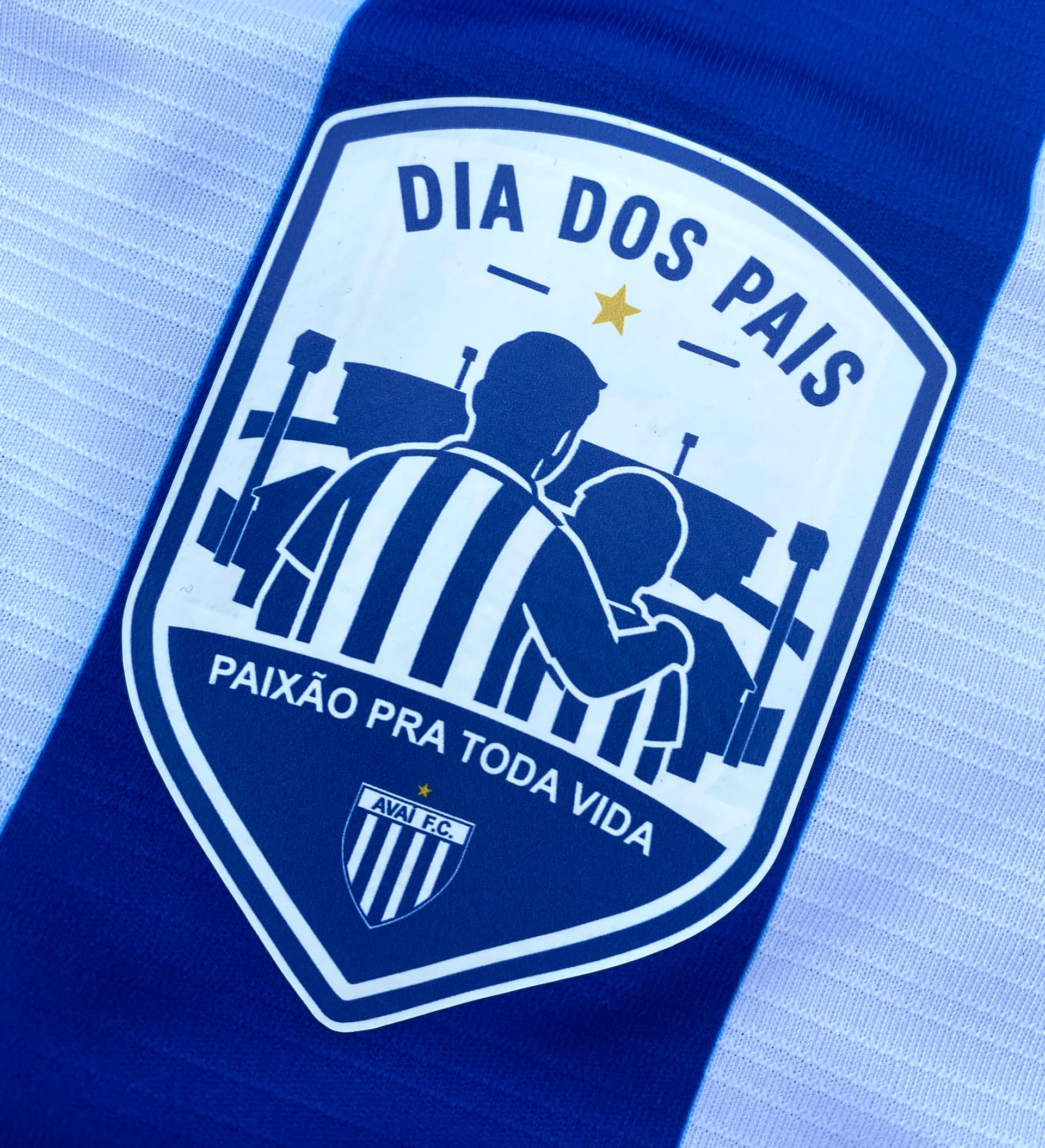 announcements/169f10ae-2023-4245-90d1-a3f43b4fe4e8/1786474303036-avai-blusa-detalhe.webp