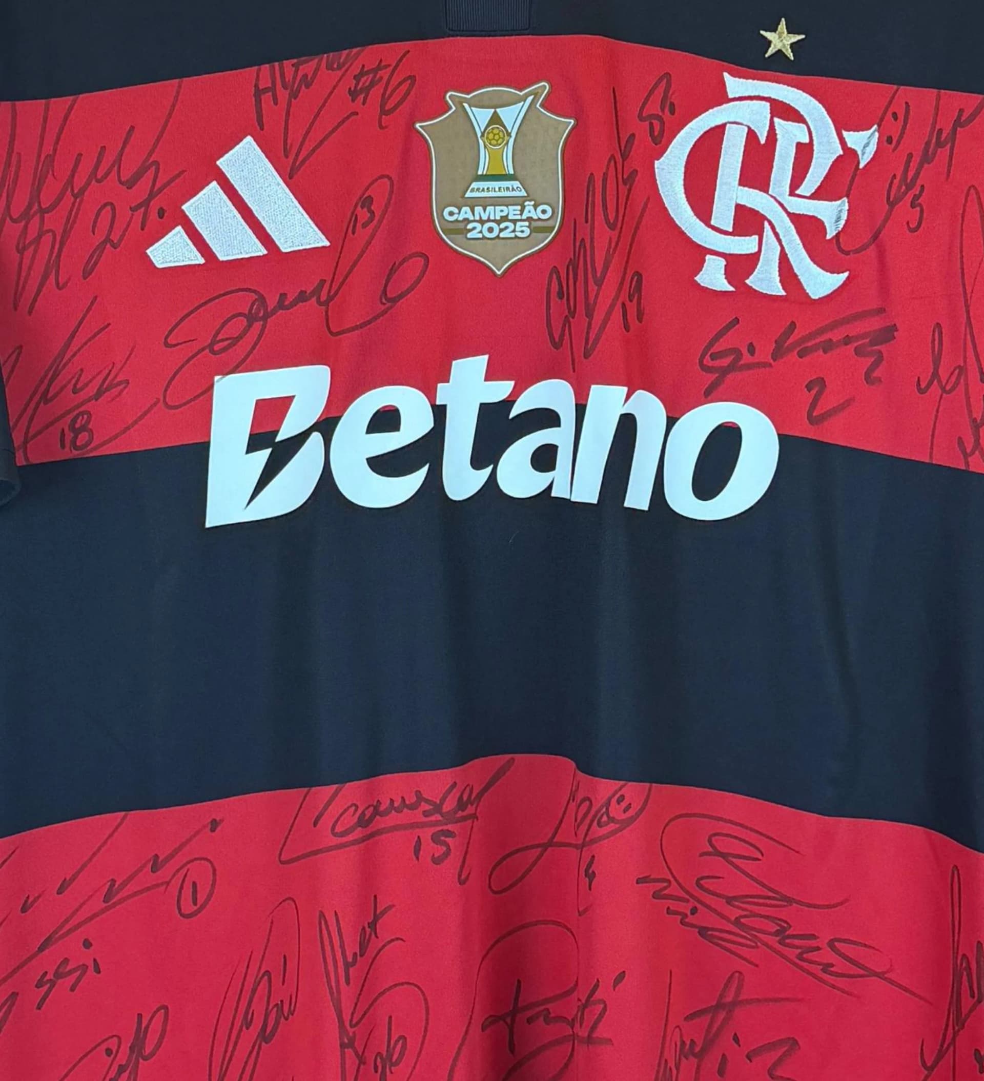 announcements/4da658b4-f10d-42ec-a383-d547fedd32d6/1786391922054-camisa-flamengo-plata-19-autografada-elenco-3.webp
