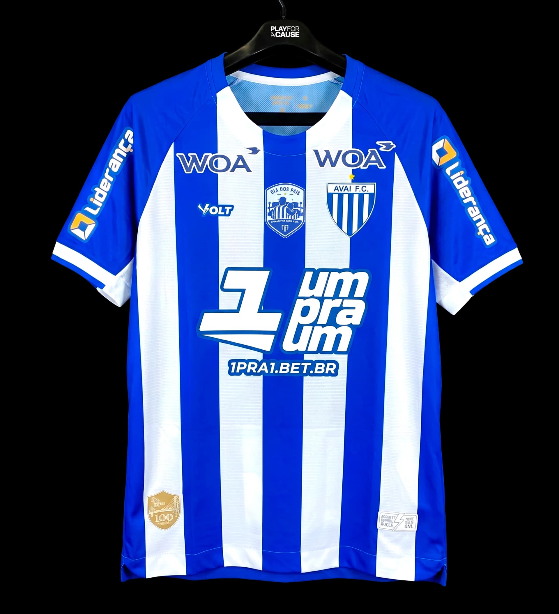 announcements/b1110a14-d16d-477c-9a76-5ba93e1d58fd/1786473480076-avai-blusa-frente.webp